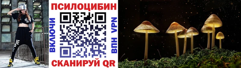 Купить  Нариманов  Галлюциногенные грибы ЛСД 