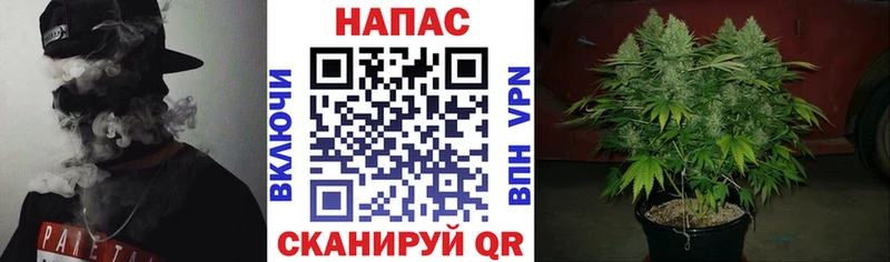 Купить закладки  Нариманов  Конопля тримм 